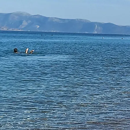 - Wayhome Phivi Apartmán *