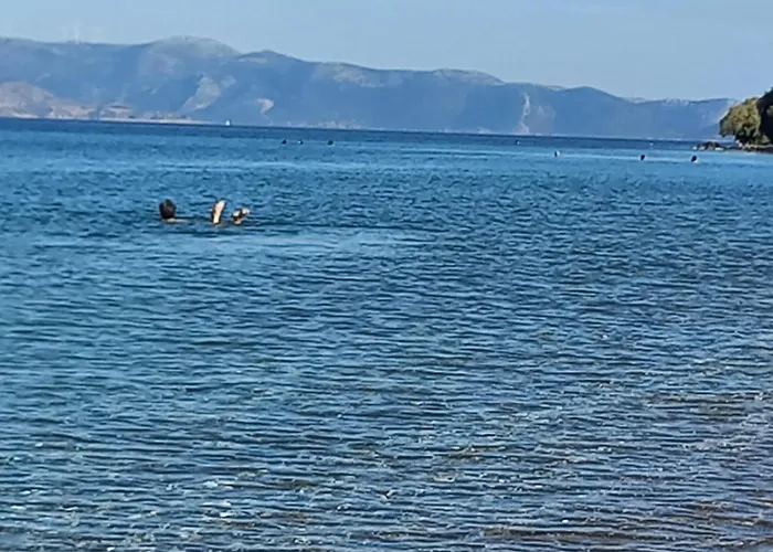 - Wayhome Phivi Apartamento *